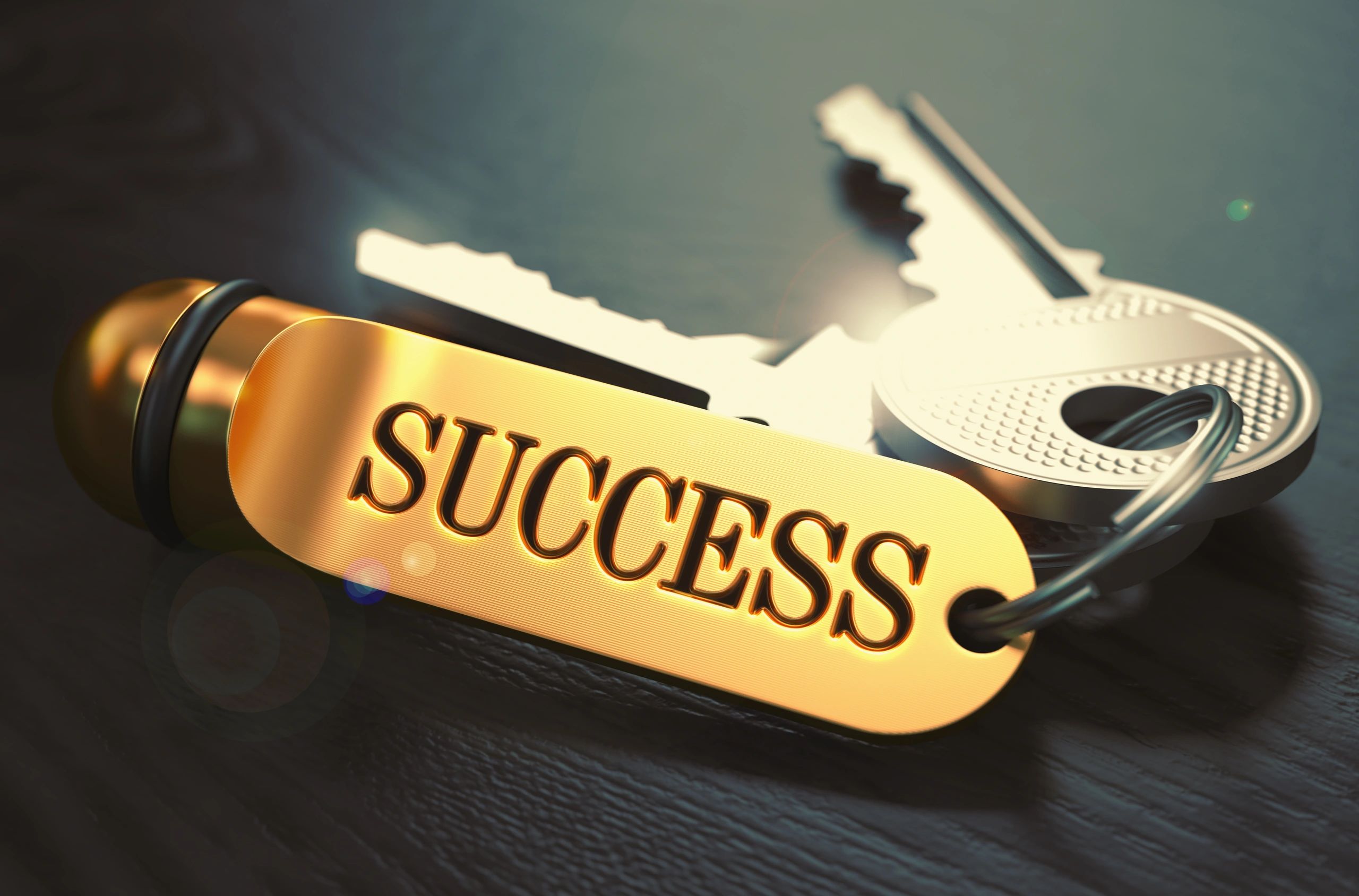 Stable business performance chart supporting buyer confidence